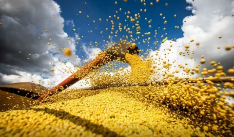 Conab: produção de grãos pode chegar a 358,6 milhões de toneladas