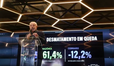 Desmatamento na Amazônia cai 61,4% em maio de 2026