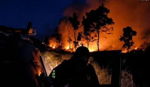 PRF prende homem por queimada ilegal às margens da BR-153 no Tocantins