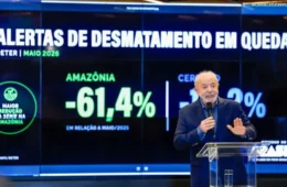 ‘É muito mais barato trabalhar para evitar o desmatamento’, afirma Lula