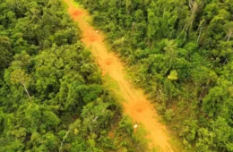 Operação desarticula infraestrutura do garimpo ilegal em terra indígena de Roraima