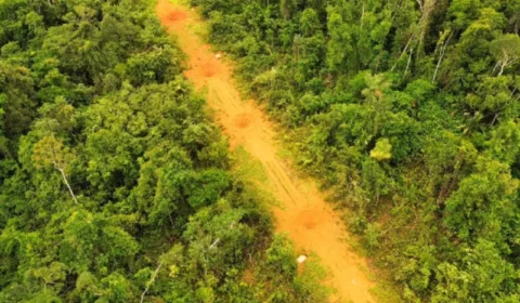 Operação desarticula infraestrutura do garimpo ilegal em terra indígena de Roraima