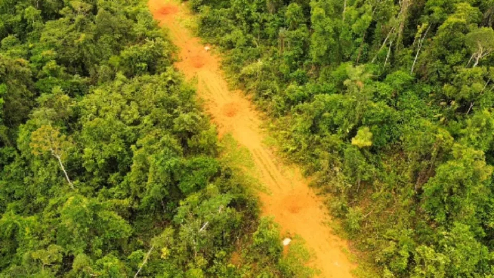 Operação desarticula infraestrutura do garimpo ilegal em terra indígena de Roraima