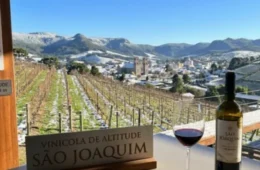 Com −10 °C e 1.360 metros de altitude, a cidade mais fria do Brasil virou destaque em vinhos premiados