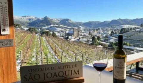 Com −10 °C e 1.360 metros de altitude, a cidade mais fria do Brasil virou destaque em vinhos premiados