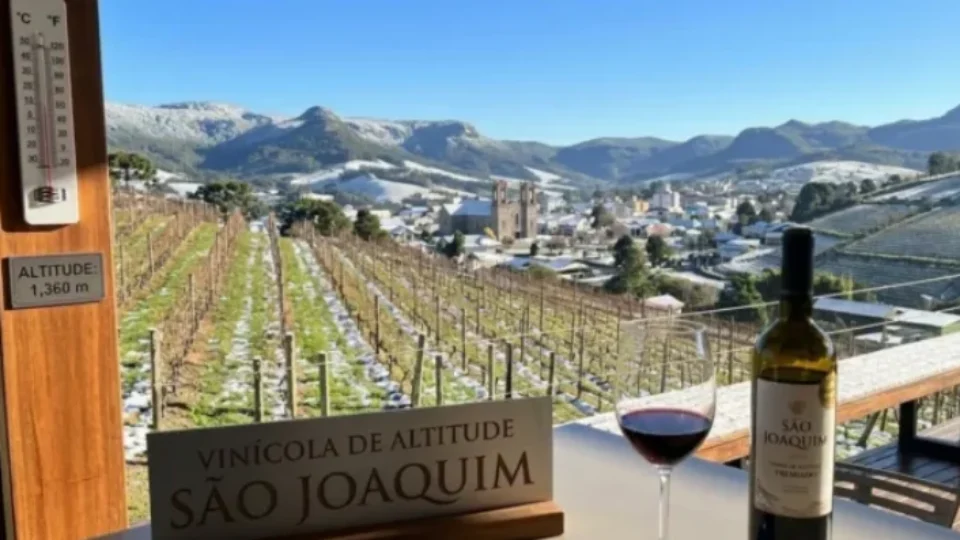 Com −10 °C e 1.360 metros de altitude, a cidade mais fria do Brasil virou destaque em vinhos premiados