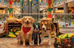 Arraial de quatro patas: Shopping na Região Norte promove evento gratuito com vacinação, adestramento e feira de adoção de animais