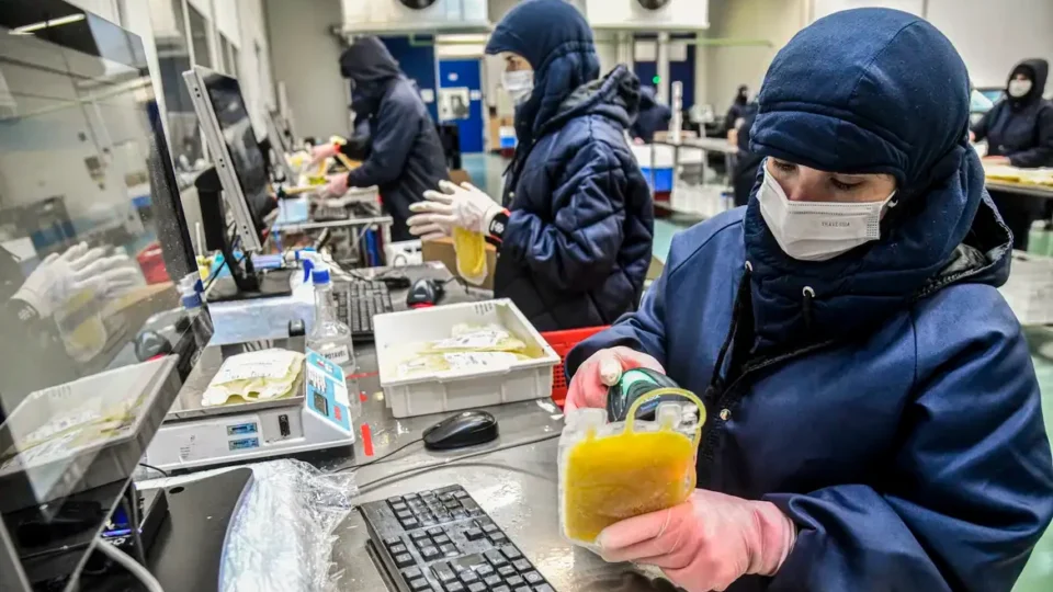 Projeto dispensa licitação para medicamentos produzidos pela Hemobrás