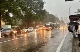 Temporal com frente fria e ventos de 51 km/h coloca toda a cidade de São Paulo em estado de atenção