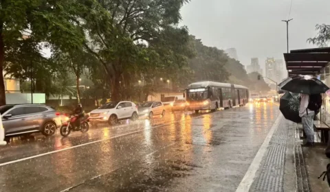 Temporal com frente fria e ventos de 51 km/h coloca toda a cidade de São Paulo em estado de atenção