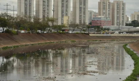 Rio Tietê não tem trecho livre de contaminação, diz SOS Mata Atlântica
