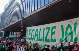 Marcha da Maconha reúne manifestantes na Avenida Paulista e pede mudança na política de drogas no Brasil