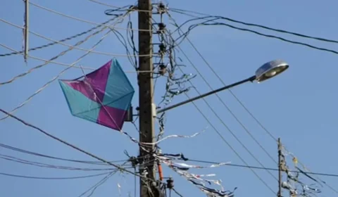 Pipas na rede elétrica já deixaram mais de 205 mil consumidores sem energia em Minas Gerais em 2026