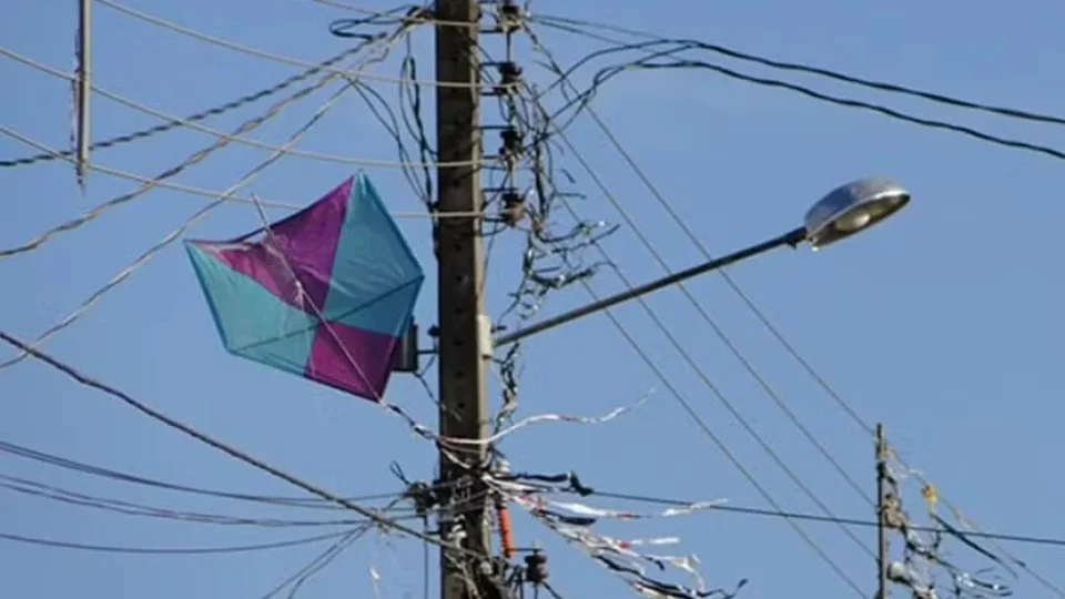 Pipas na rede elétrica já deixaram mais de 205 mil consumidores sem energia em Minas Gerais em 2026