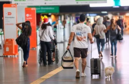 Fim do sufoco? Setor que mais gera emprego no Brasil volta a crescer e motivo ajuda o bolso; entenda