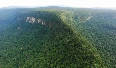 Do Caburaí ao Chuí: conheça os pontos extremos do Brasil e descubra onde o país realmente começa e termina