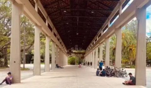 Ministério Público aponta possível favorecimento em órgão do patrimônio envolvendo gestão do Parque Ibirapuera