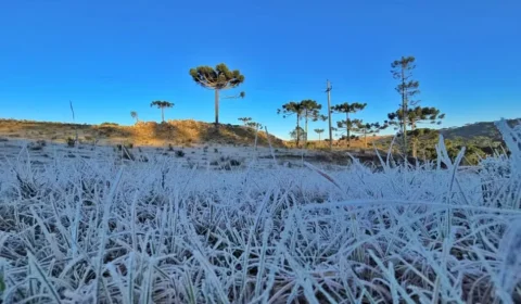 Paraná registra geadas, menor temperatura do ano e sensação térmica de até -8,4°C