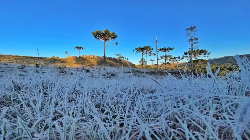 Paraná registra geadas, menor temperatura do ano e sensação térmica de até -8,4°C