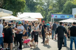 Festival Pet 2026 transforma Ibirapuera em ponto de encontro para cães e tutores; veja tudo que terá