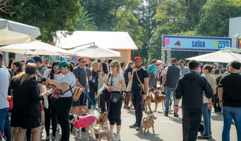 Festival Pet 2026 transforma Ibirapuera em ponto de encontro para cães e tutores; veja tudo que terá
