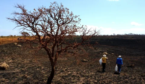 Governo libera R$ 1,3 bi para combater El Niño 2026 no Brasil