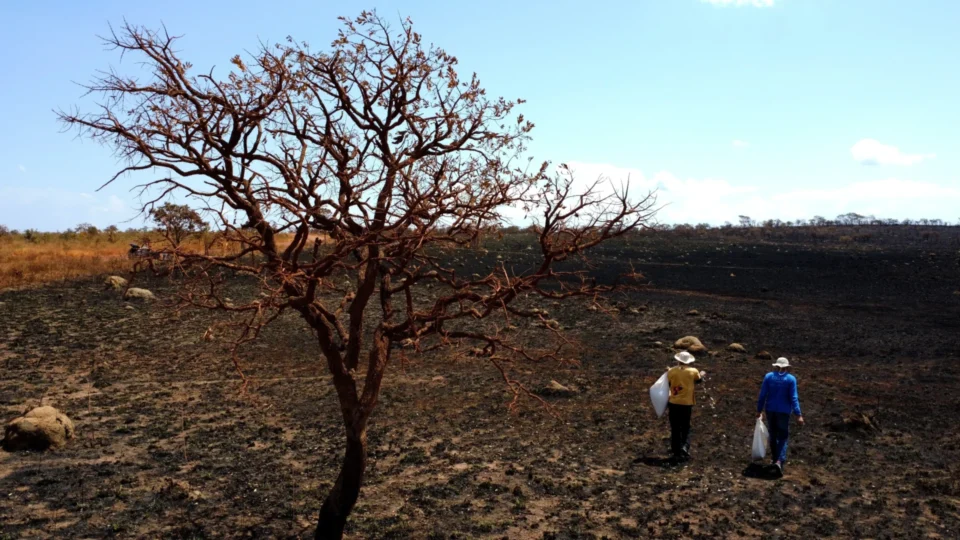 Governo libera R$ 1,3 bi para combater El Niño 2026 no Brasil