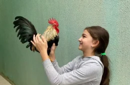 Galo muda a vida de menina de 10 anos e a ajuda a superar o luto