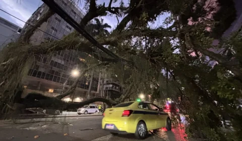 Vendaval no Rio deixa mortos, 370 mil sem luz e provoca transtornos que ainda afetam a cidade