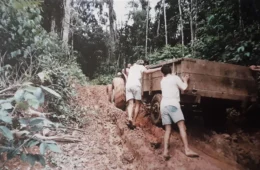 Quando a cooperação e a inovação transformam resíduo em riqueza: a lição do RECA na valorização do cupuaçu