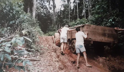 Quando a cooperação e a inovação transformam resíduo em riqueza: a lição do RECA na valorização do cupuaçu