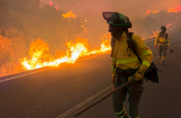 Incêndio florestal na Andaluzia deixa ao menos 11 mortos e mobiliza equipes de emergência na Espanha