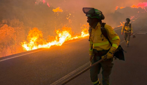 Incêndio florestal na Andaluzia deixa ao menos 11 mortos e mobiliza equipes de emergência na Espanha
