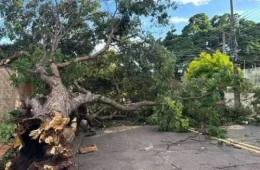 Campo Grande entra em alerta para tempestade com ventos de até 50 km/h neste sábado