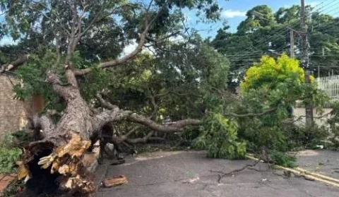 Campo Grande entra em alerta para tempestade com ventos de até 50 km/h neste sábado