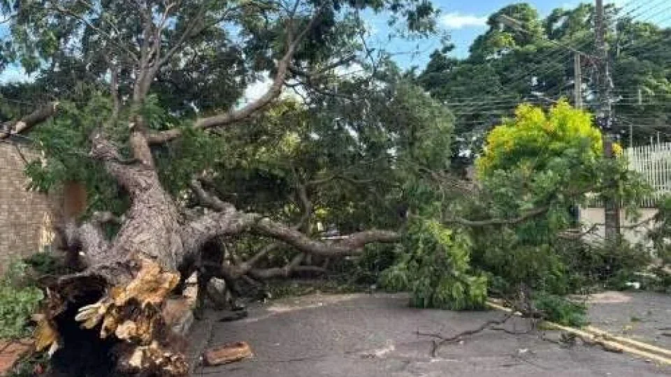 Campo Grande entra em alerta para tempestade com ventos de até 50 km/h neste sábado