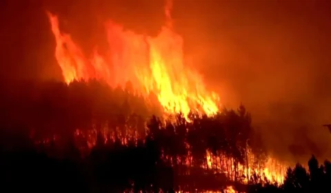 Incêndios históricos forçam retirada de 280 mil pessoas na França e na Espanha