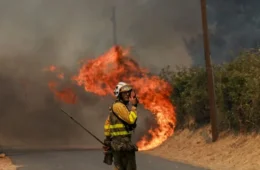 “Parecia o fim do mundo”: brasileiros relatam medo diante dos incêndios que atingem Europa