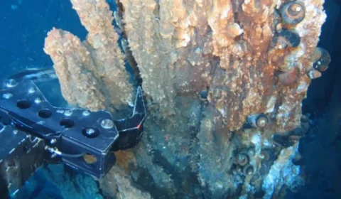 Descoberta de ouro em área submarina pode mudar a mineração; entenda por que cientistas estão em alerta