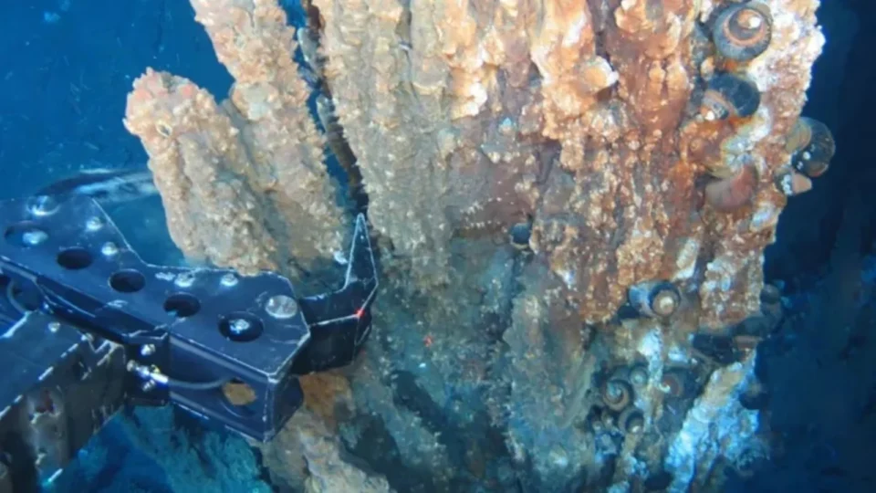 Descoberta de ouro em área submarina pode mudar a mineração; entenda por que cientistas estão em alerta
