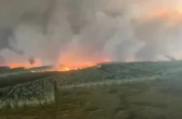 Incêndio florestal avança na França e chega perto de Bordeaux; fumaça toma região e milhares são retirados