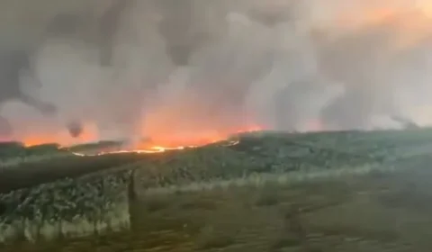 Incêndio florestal avança na França e chega perto de Bordeaux; fumaça toma região e milhares são retirados
