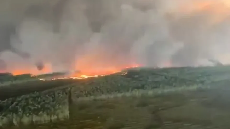 Incêndio florestal avança na França e chega perto de Bordeaux; fumaça toma região e milhares são retirados