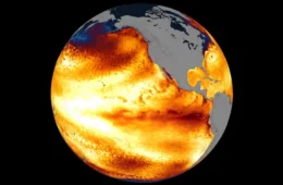 El Niño pode atingir nível mais intenso em 75 anos no sul da Flórida e mudar cenário da temporada de furacões
