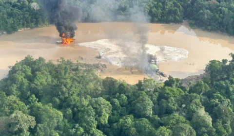Suspeita de uso de cianeto em garimpo ilegal de Roraima expõe nova ameaça à Amazônia