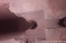 Menina de 6 anos cai em buraco de 7 metros enquanto brincava; resgate mobiliza retroescavadeira no interior de SP