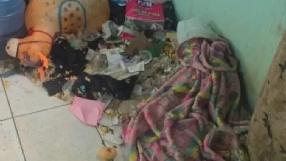 Menino de 2 anos é encontrado sozinho em casa cheia de lixo; mãe é presa em MG