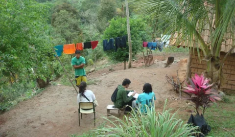 Inventário revela que Igrejas e madeireiros ameaçam línguas indígenas no Brasil