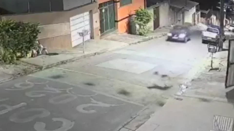 Motorista atropela cão e foge sem prestar socorro em MG; veja vídeo
