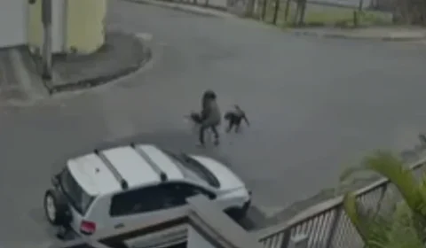 Homem enfrenta pitbull e evita tragédia durante ataque em MG